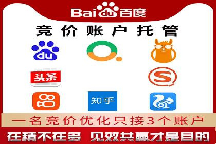 成功SEM托管案例分享：品牌增长之道